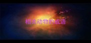 相关动物的成语
