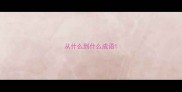 从什么到什么成语