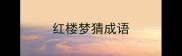 红楼梦猜成语