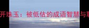 冷门干货椟开珠玉被低估的成语智慧与职场应用指南