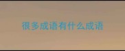 很多成语有什么成语