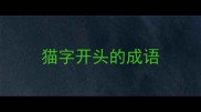猫字开头的成语