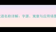 成语名称详解字源寓意与应用场景