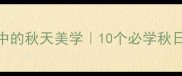 四字成语中的秋天美学10个必学秋日成语及用法