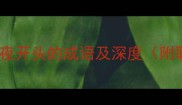 夜色生辉10个以夜开头的成语及深度附职场情感场景应用