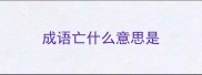 成语亡什么意思是