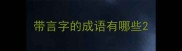 带言字的成语有哪些