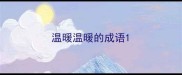 温暖温暖的成语