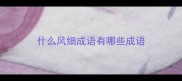 什么风细成语有哪些成语