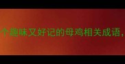 母鸡成语有哪些10个趣味又好记的母鸡相关成语帮助孩子快速掌握