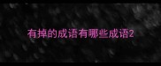 有掉的成语有哪些成语