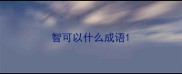 智可以什么成语