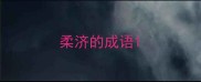 柔济的成语