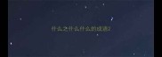 什么之什么什么的成语