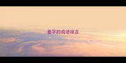 套字的成语接龙