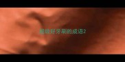 超级好牙刷的成语