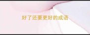 好了还要更好的成语