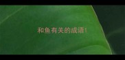 和鱼有关的成语