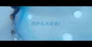 四什么大成语