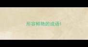 形容鲜艳的成语