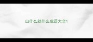 山什么就什么成语大全