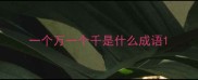 一个万一个千是什么成语