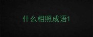 什么相照成语