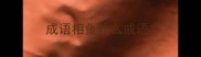 成语相鱼什么成语
