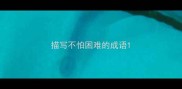 描写不怕困难的成语