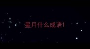 星月什么成语