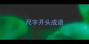 尺字开头成语