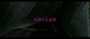 回身什么成语