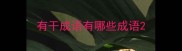 有干成语有哪些成语