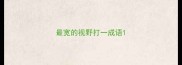 最宽的视野打一成语