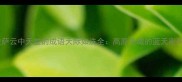 拉萨云中天堂的成语天际如洗全高原圣城的蓝天密码