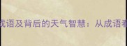10个含气象元素的成语及背后的天气智慧从成语看中国古人的气象观