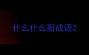 什么什么新成语