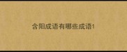 含阳成语有哪些成语