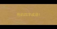 抱的四字成语