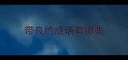 带良的成语有哪些