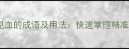 10个一针见血的成语及用法快速掌握精准表达技巧
