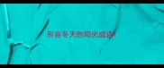 形容冬天的阳光成语
