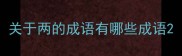 关于两的成语有哪些成语