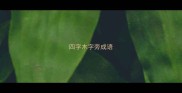 四字木字旁成语