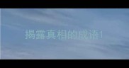 揭露真相的成语