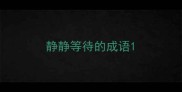 静静等待的成语
