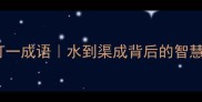 水哉水哉打一成语水到渠成背后的智慧与人生启示