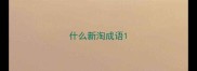什么新淘成语