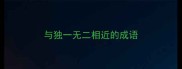 与独一无二相近的成语