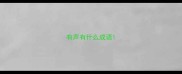 有声有什么成语